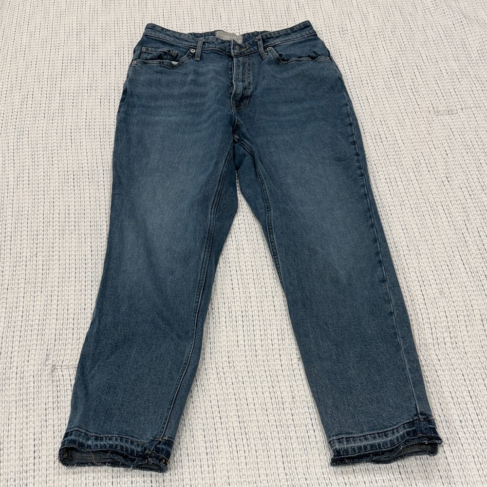 Classic Everlane Curvy Cheeky Crop Denim